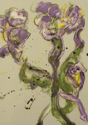 Iiris VII