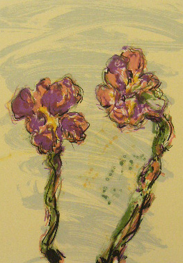 Iiris VI