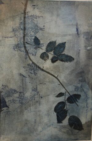 Rose V
