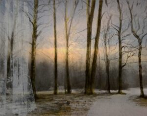 Puisto - Finlayson