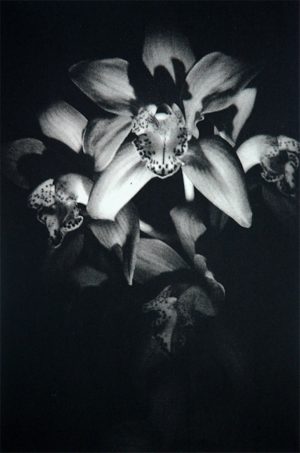 At Night II