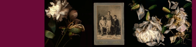 Punctum albums of life 3