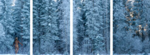 Tyttö metsään meni - sininen hetki